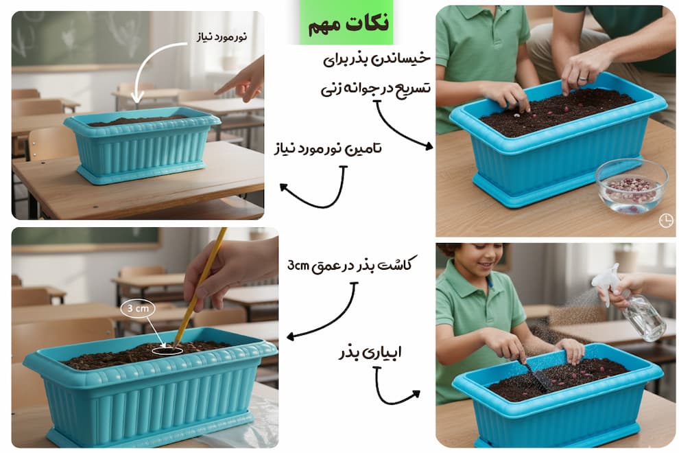 نکات مهم برای کاشت لوبیا چیتی و لوبیا قرمز