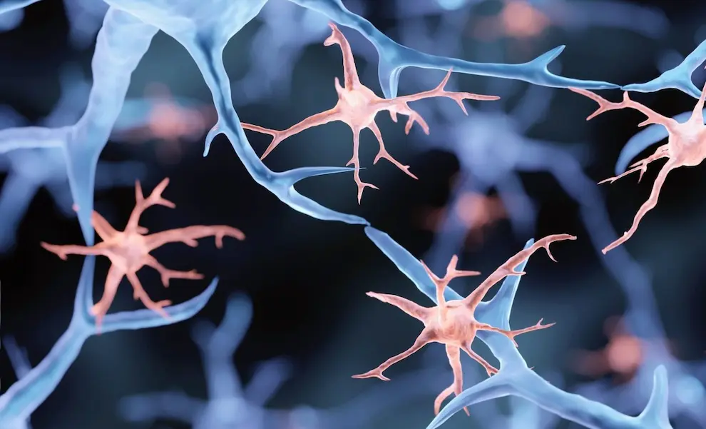 سرعت پیری مغز