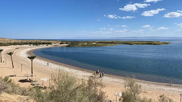 ناوی، ازبکستان