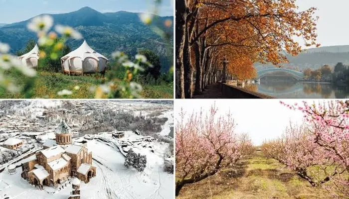 تور گرجستان