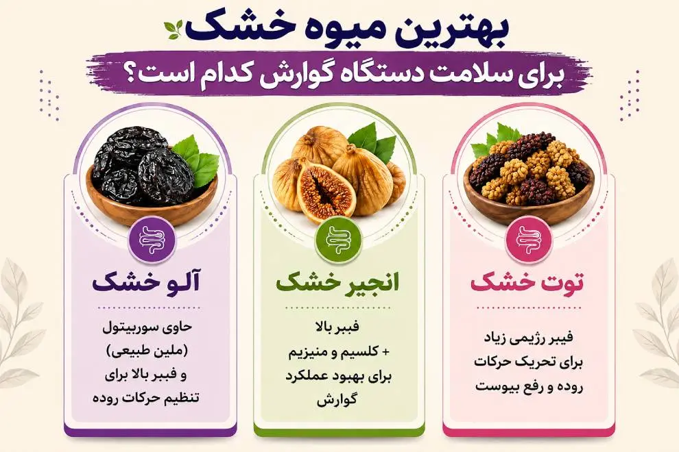 بهترین میوه خشک برای سلامت دستگاه گوارش
